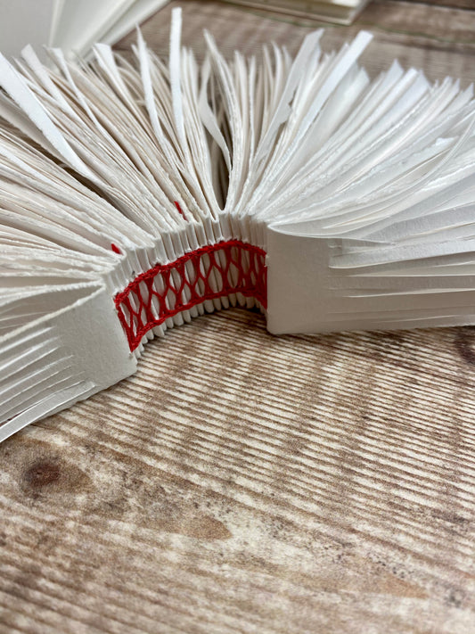 Hello 2021 - Make Books!!