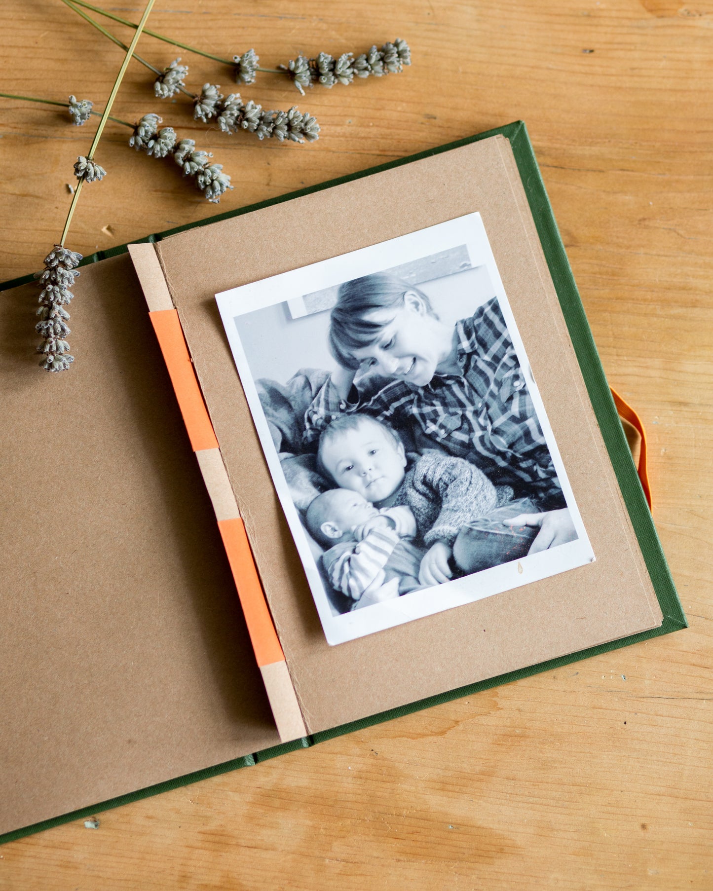 Photo Album Course: Accordion Hinge