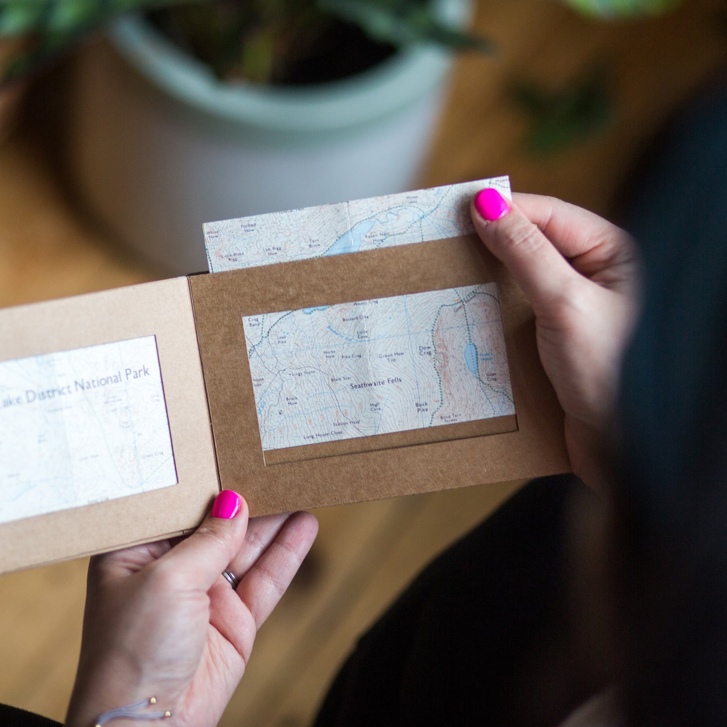 Accordion Window Book