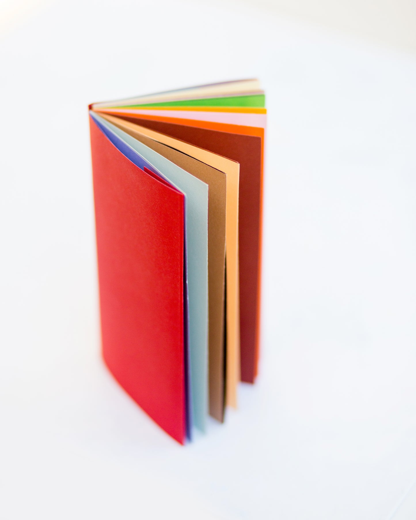 Drum Leaf Book