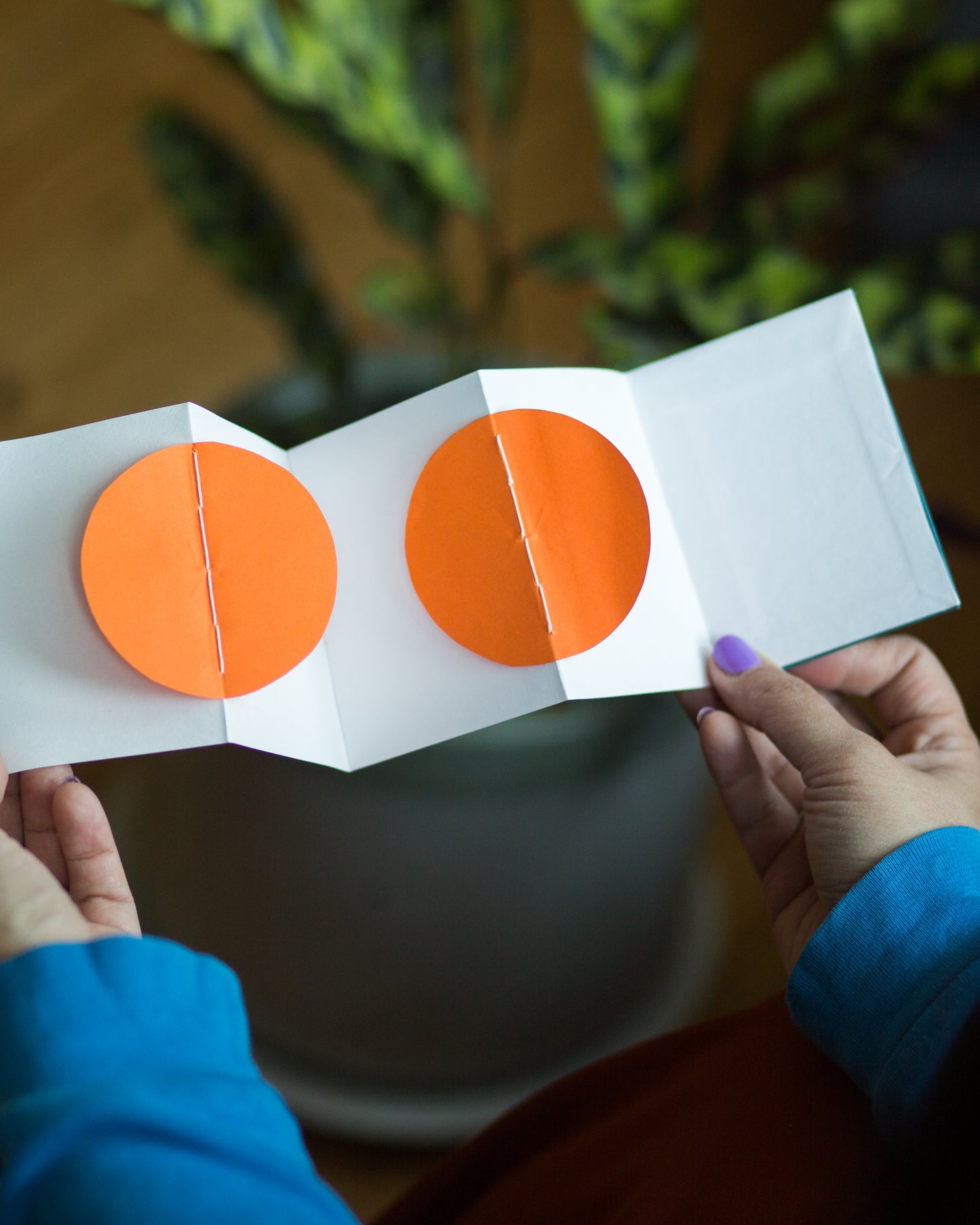 Introduction to Accordion Books
