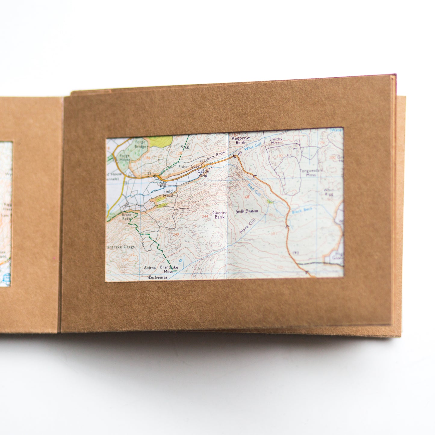 Accordion Window Book