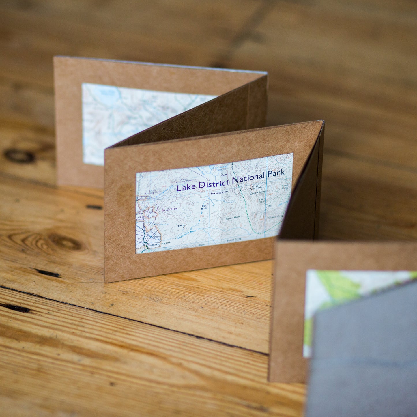 Introduction to Accordion Books