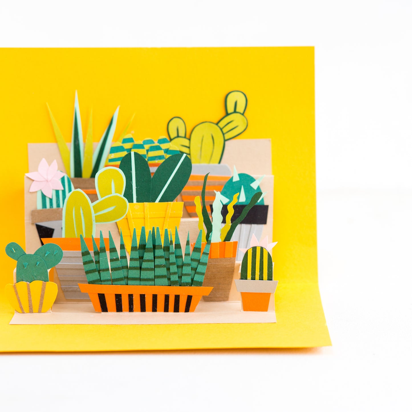 Pop up Plant Tutorial