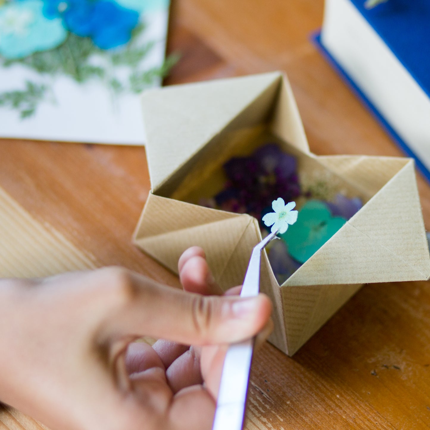 Mini Make: Pressed Flower Crowns