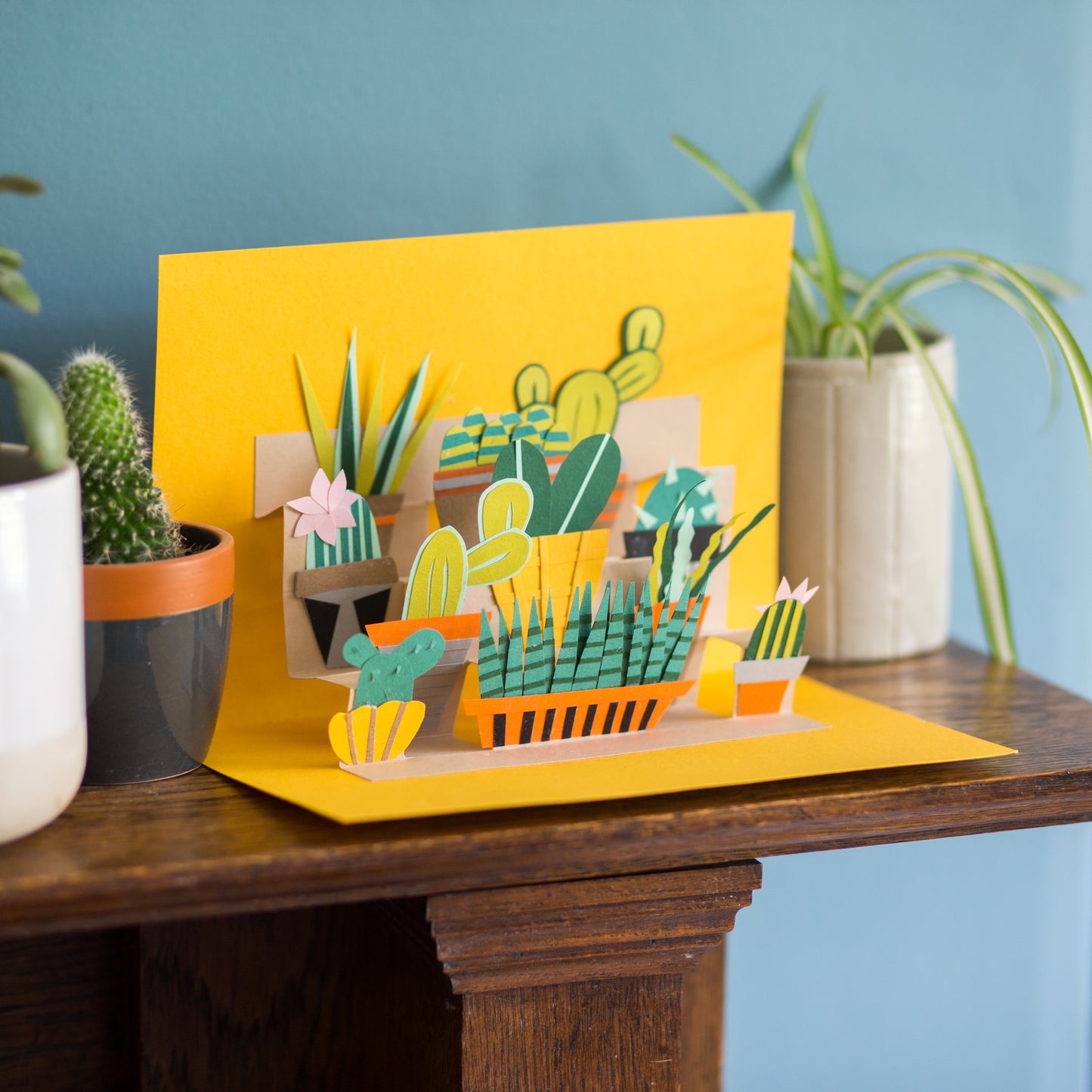 Pop up Plant Tutorial