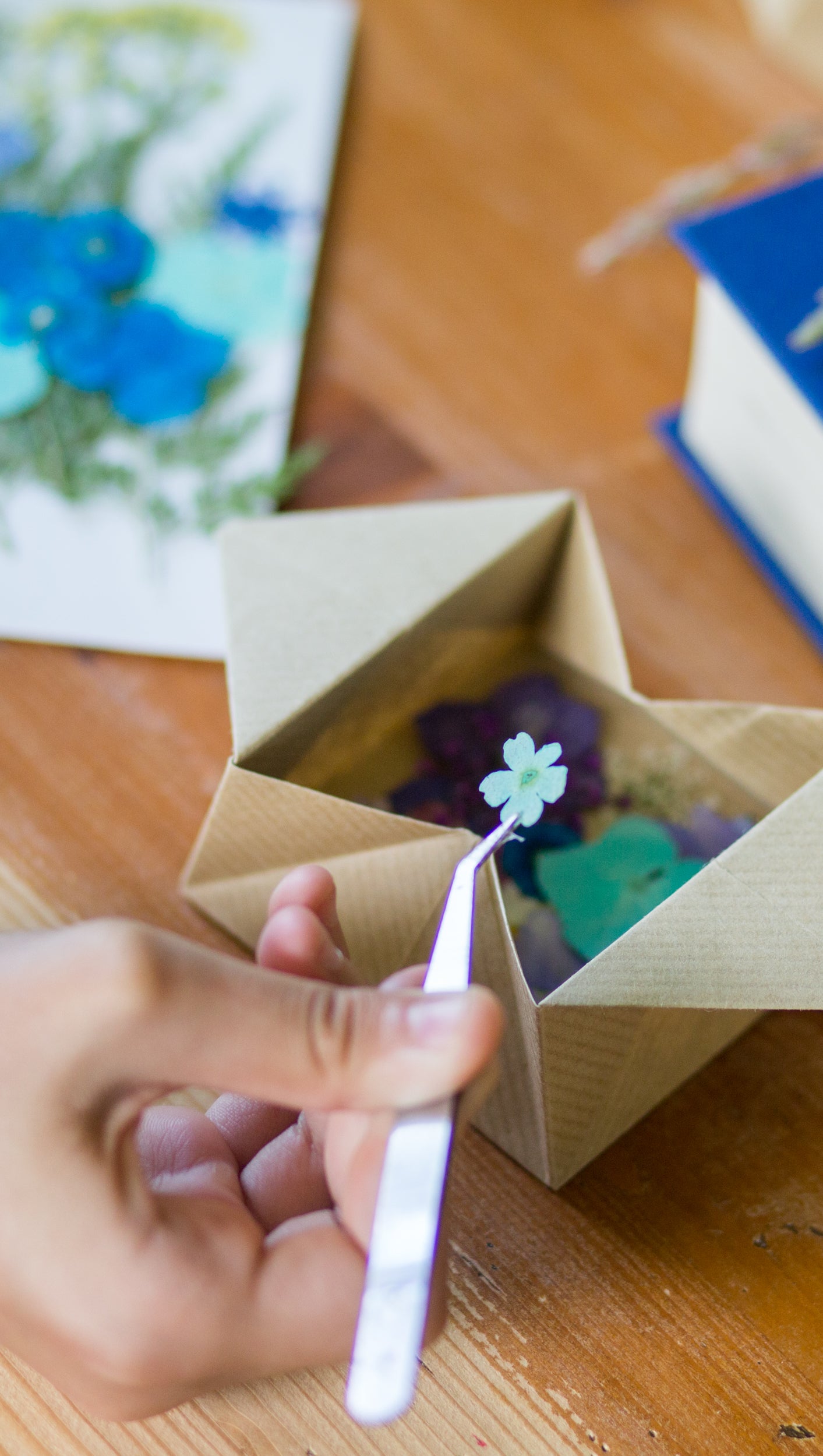 Summer Craft Club