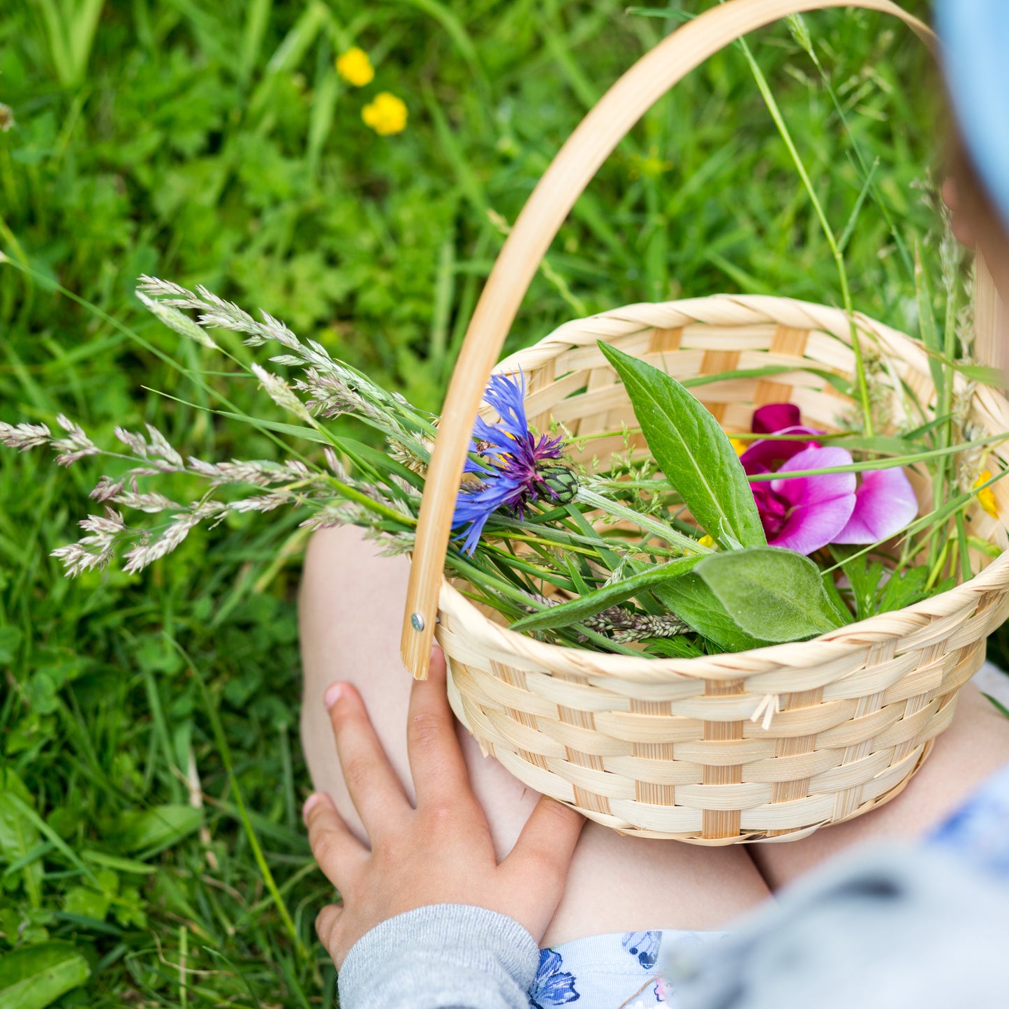 Mini Make: Pressed Flower Crowns