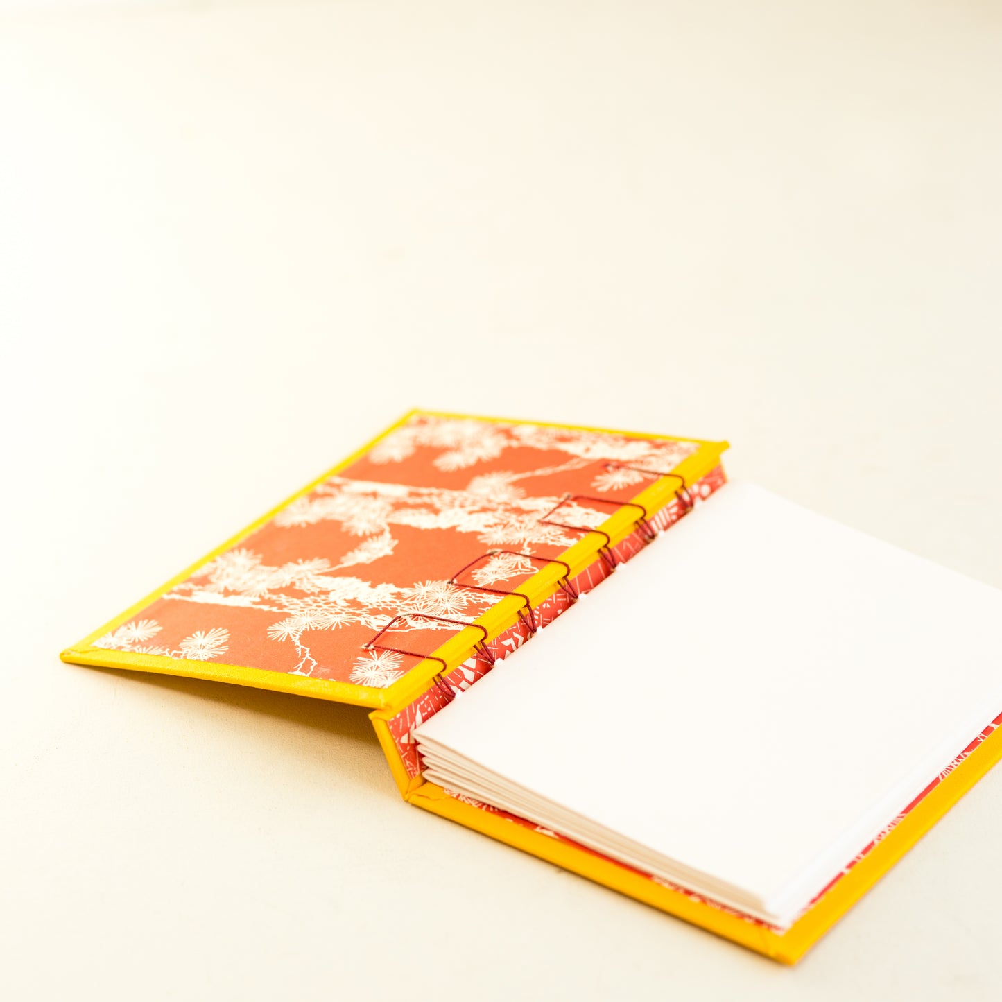 Coptic + Secret Belgian Binding