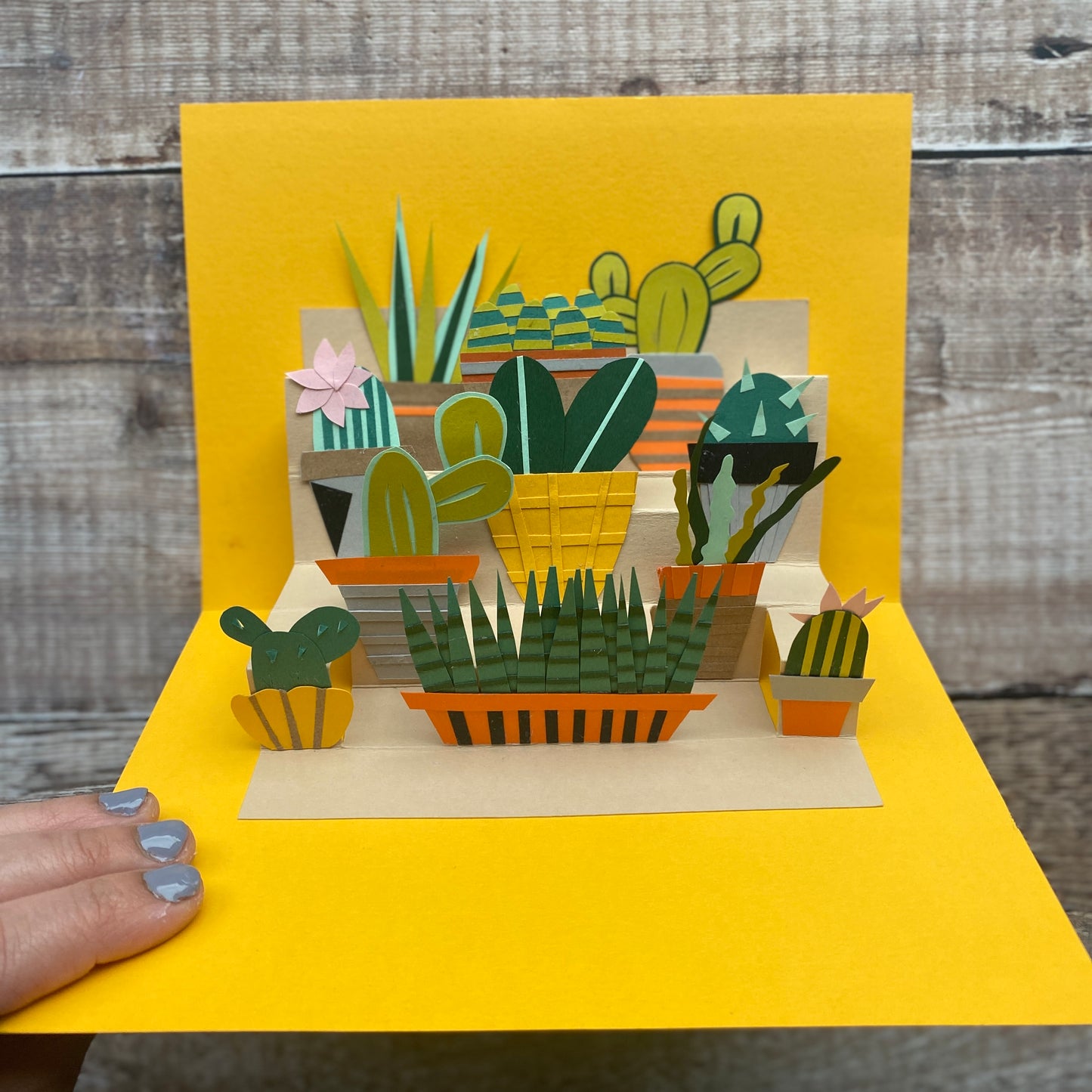 Pop up Plant Tutorial