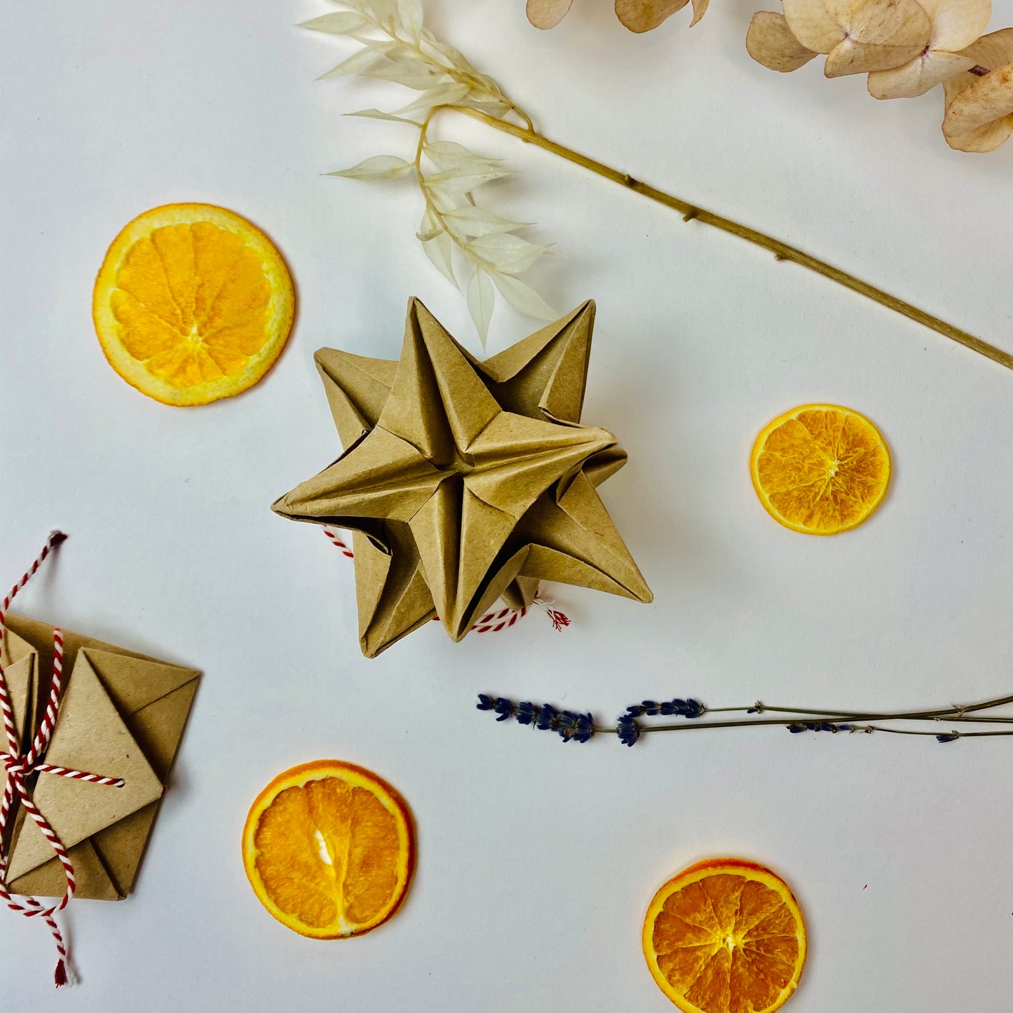 Mini Make: Modular Origami Star