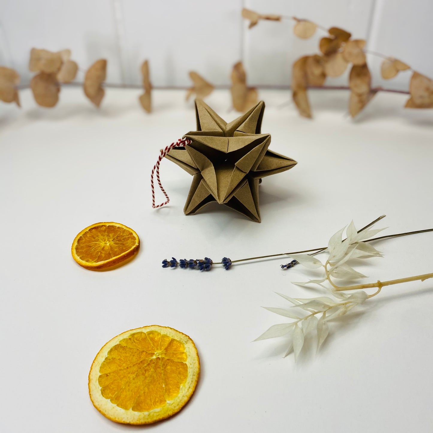 Mini Make: Modular Origami Star