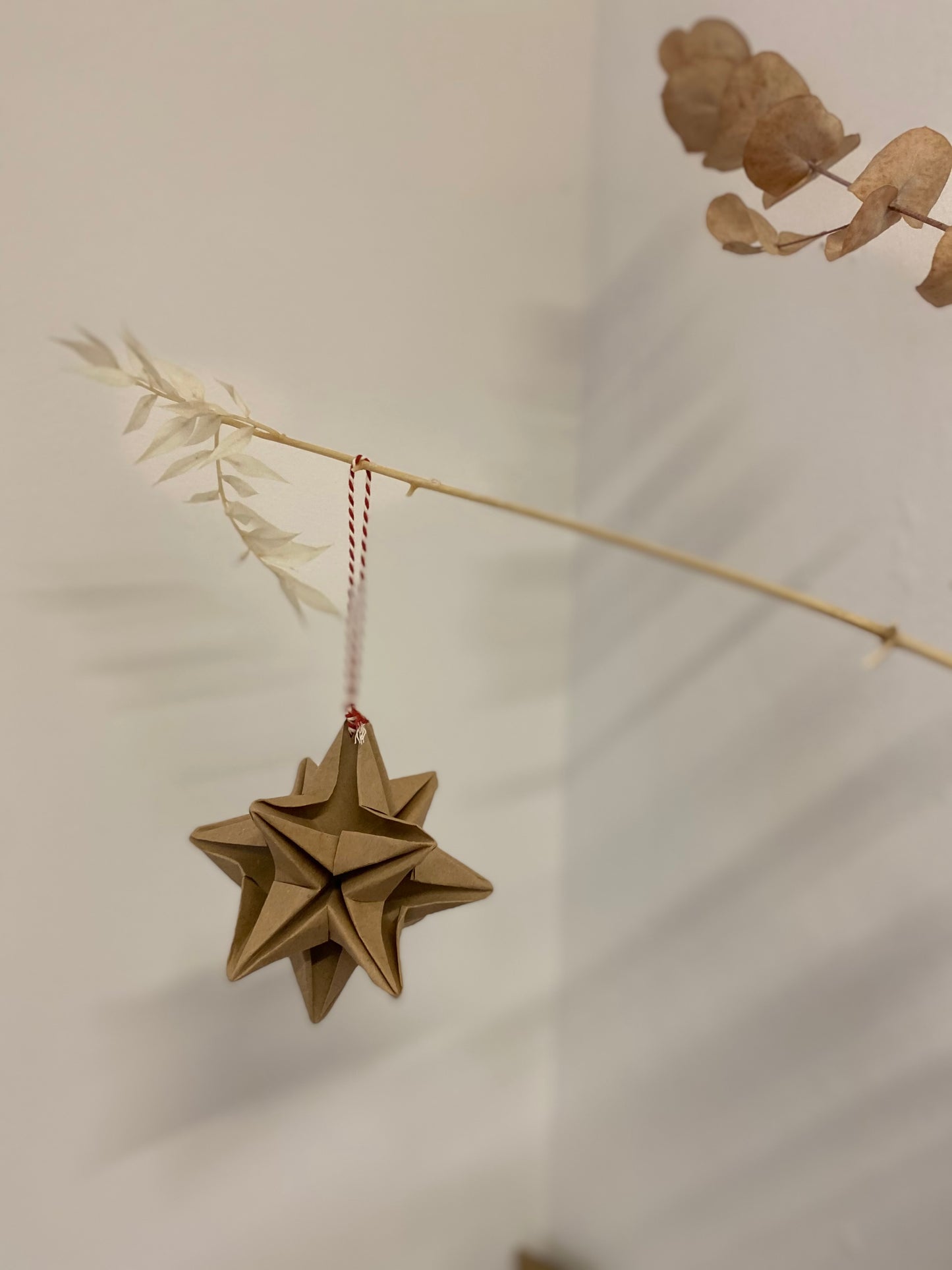 Mini Make: Modular Origami Star