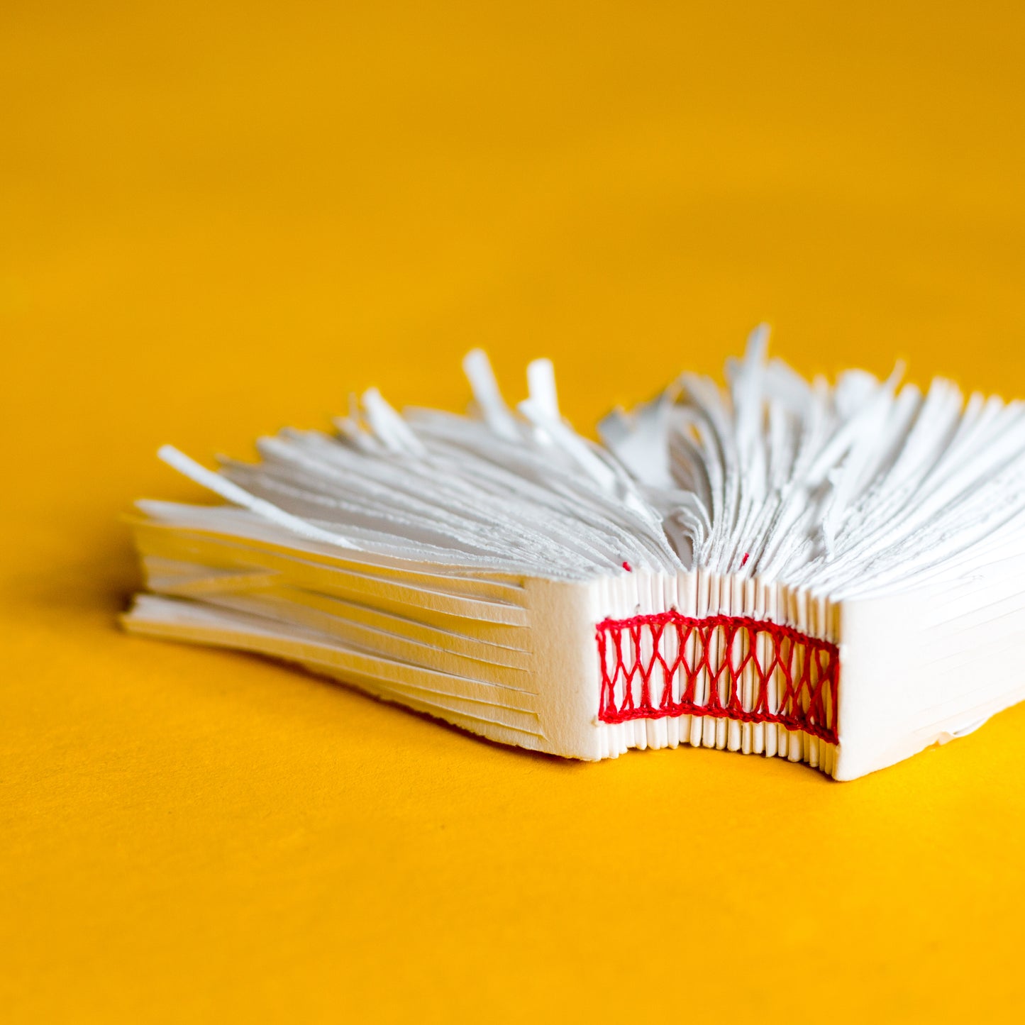 Advanced Bookbinding: Sewn Structures