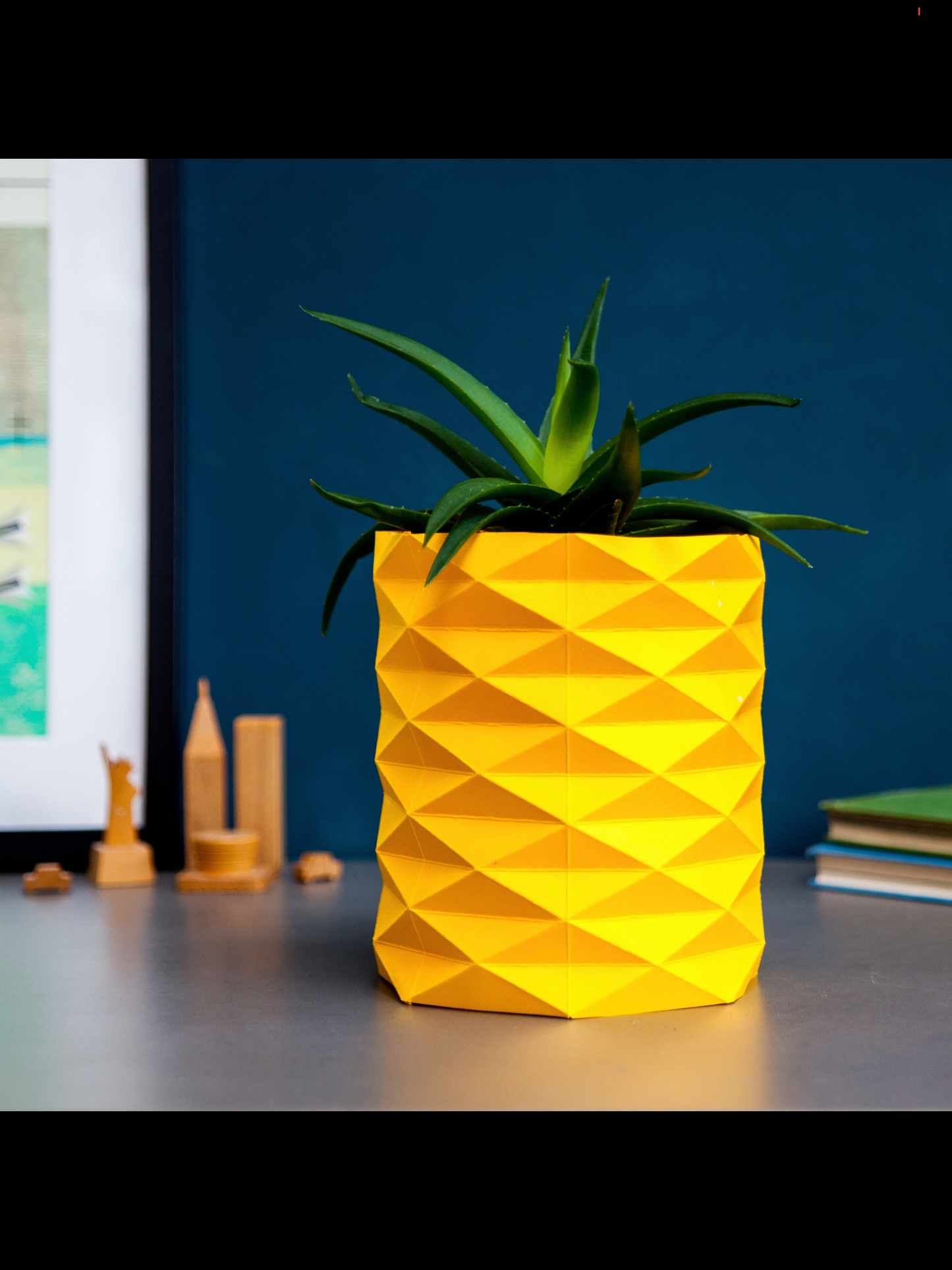 Origami Plant Wrapper