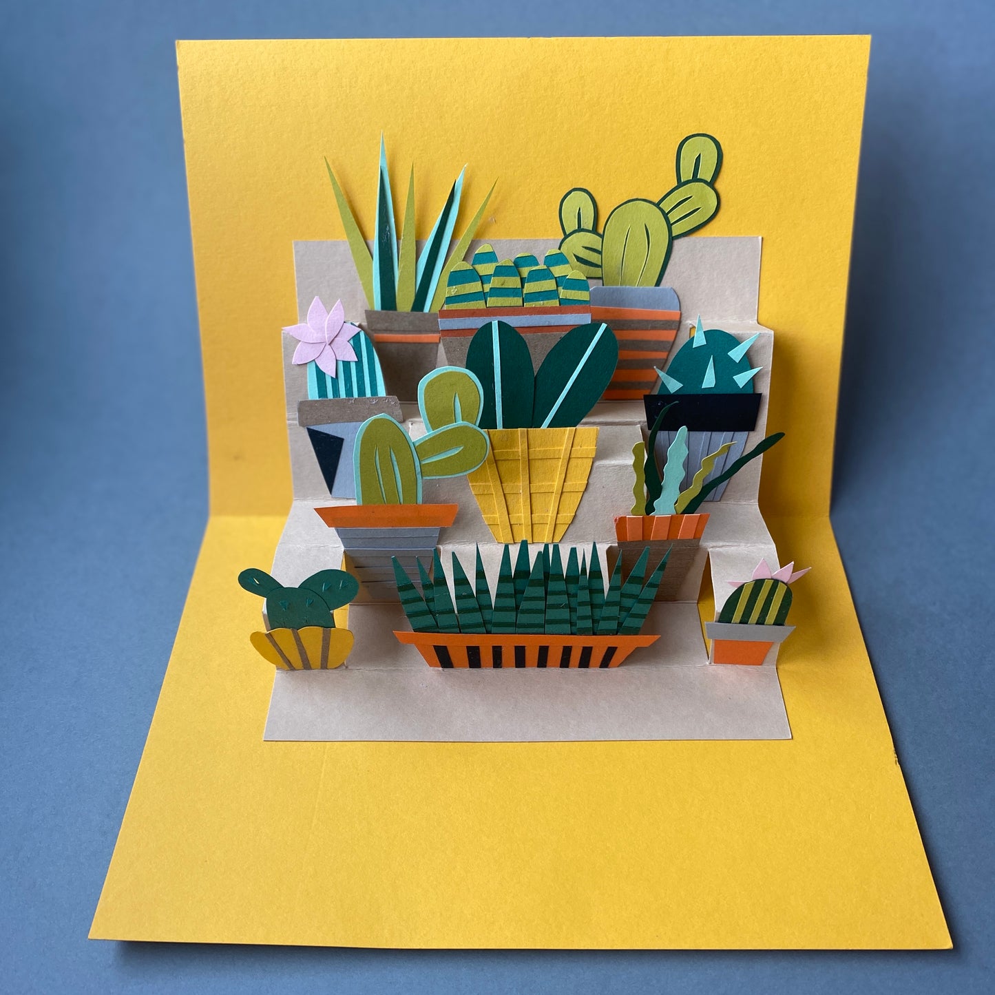 Pop up Plant Tutorial