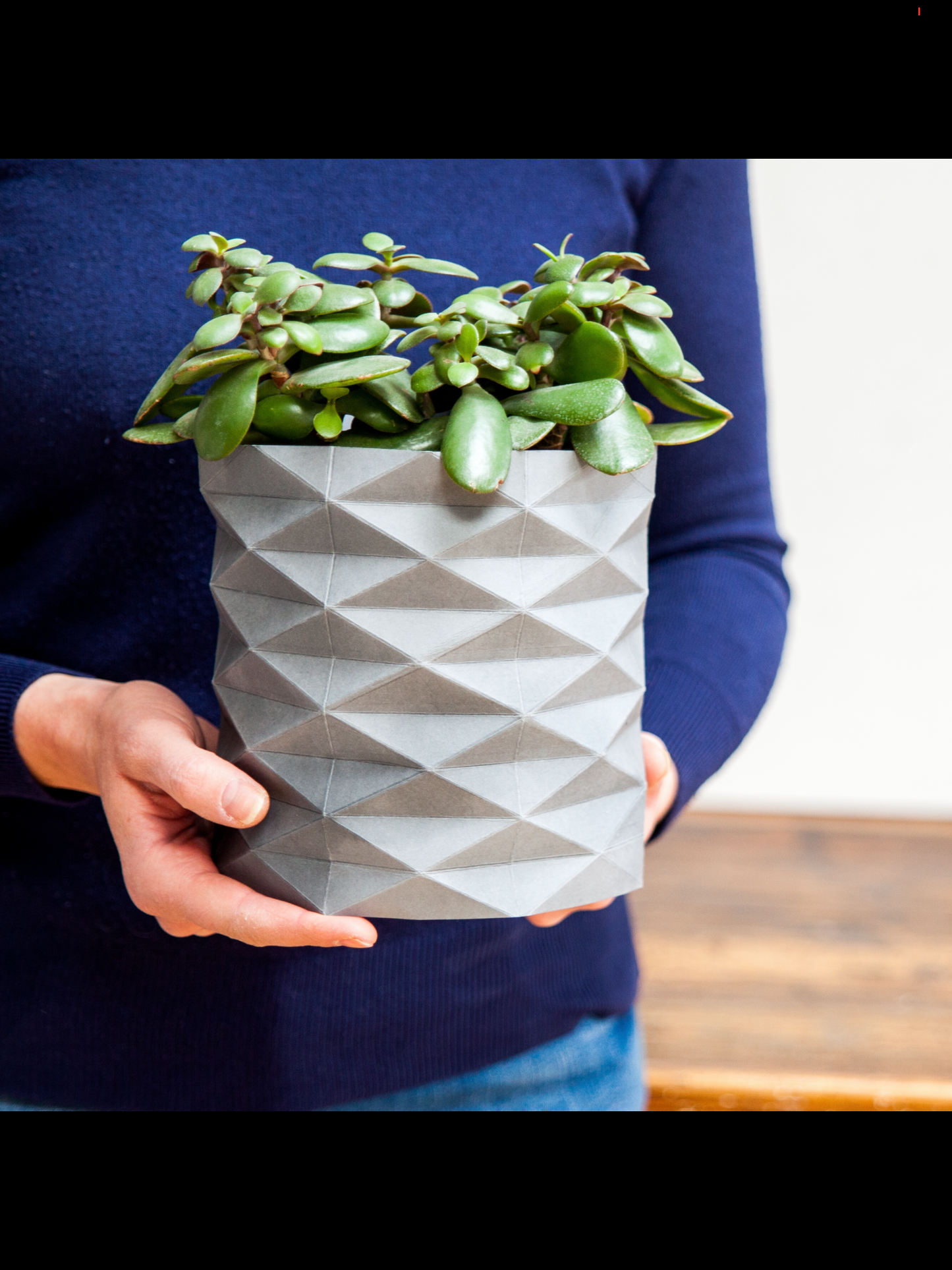 Origami Plant Wrapper