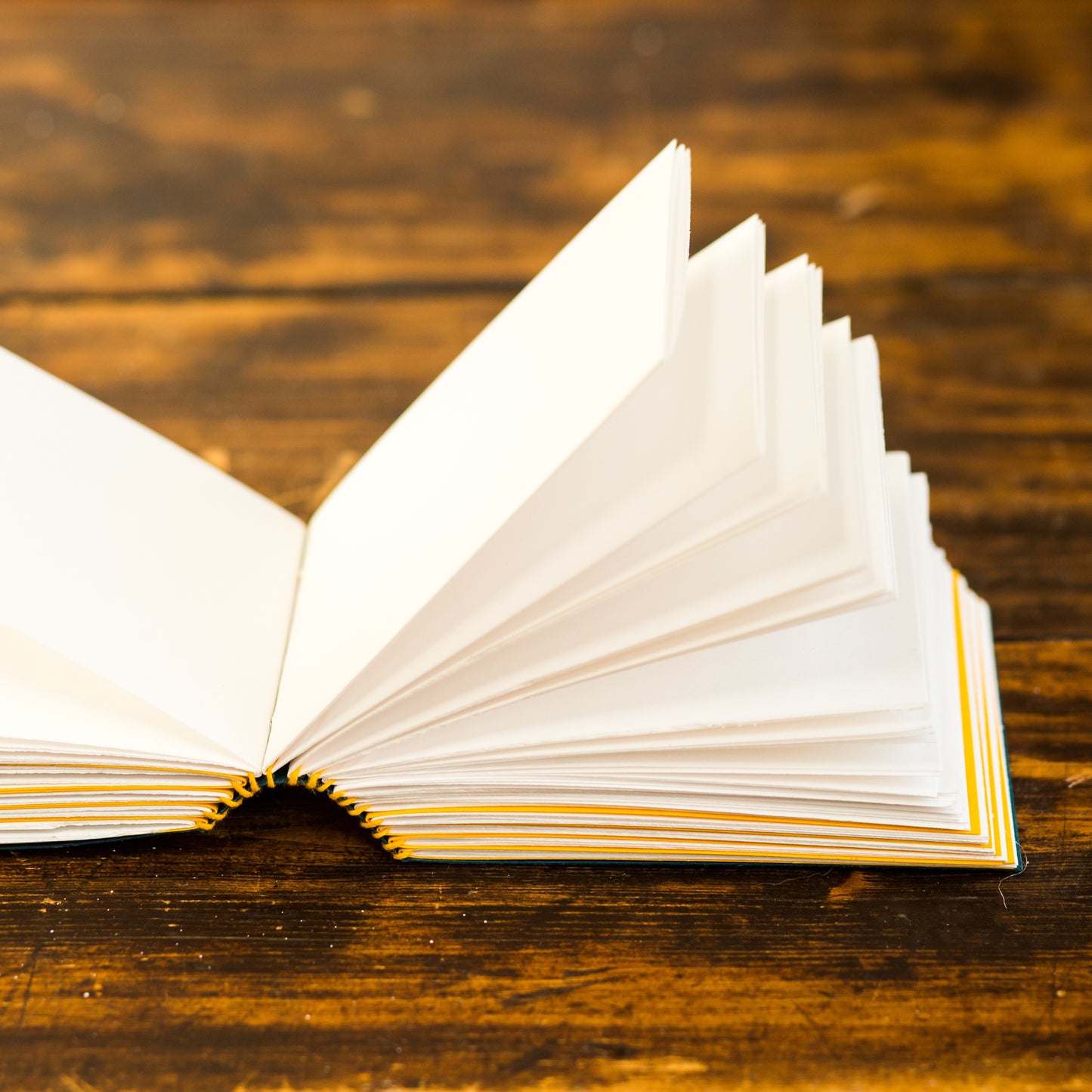 Introduction to Bookbinding