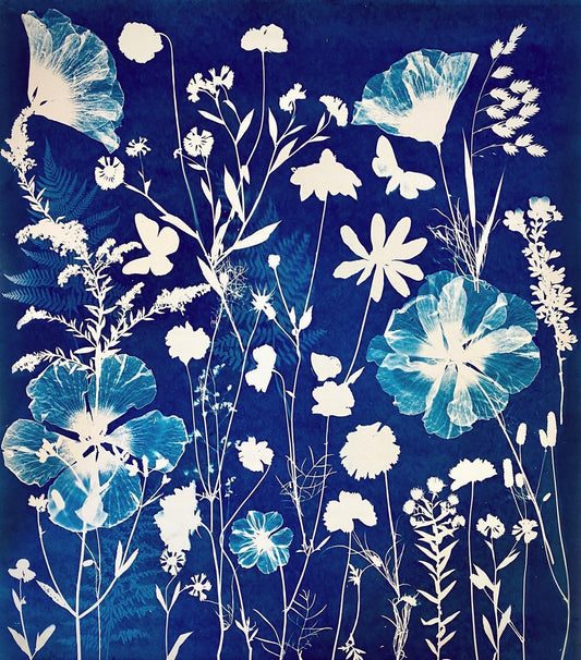 Introduction to Cyanotypes