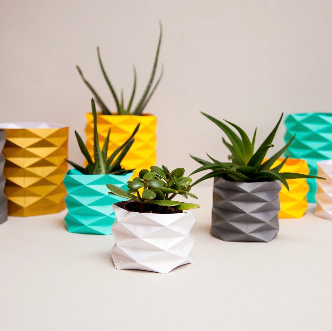 Origami Plant Wrapper