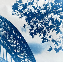 Load image into Gallery viewer, Introduction to Cyanotypes
