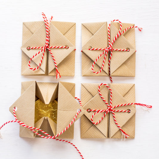 Mini Make: Magic Origami Envelopes