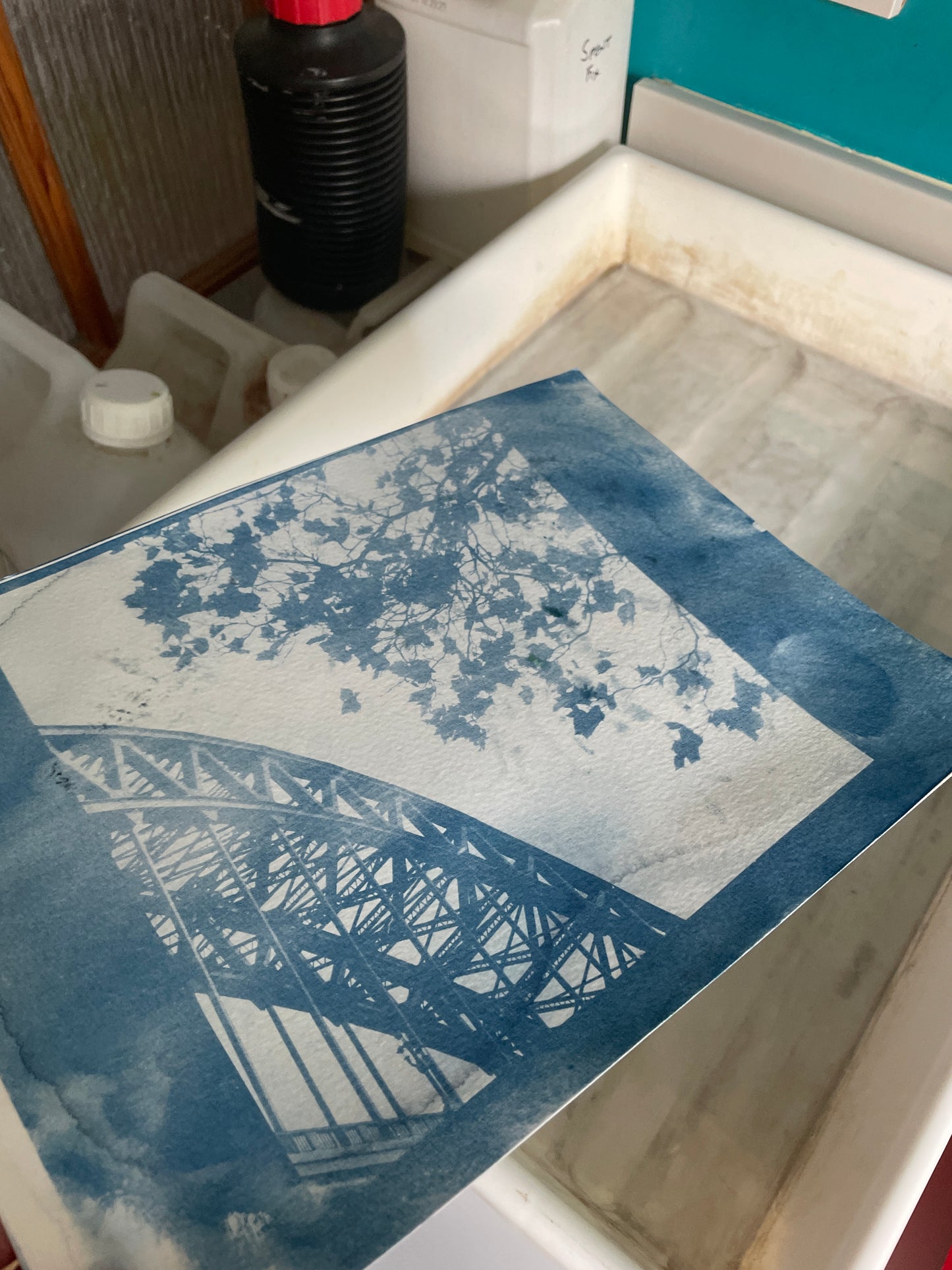 Introduction to Cyanotypes