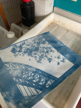 Load image into Gallery viewer, Introduction to Cyanotypes
