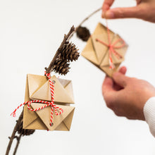 Load image into Gallery viewer, Mini Make: Magic Origami Envelopes
