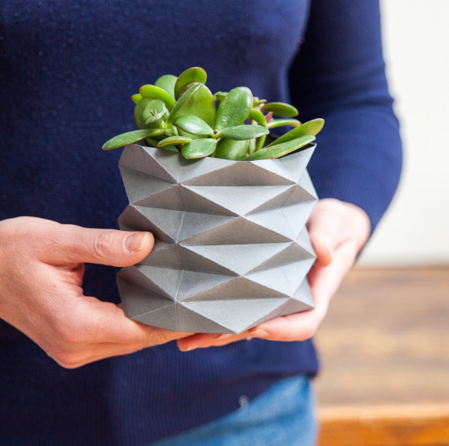 Origami Plant Wrapper