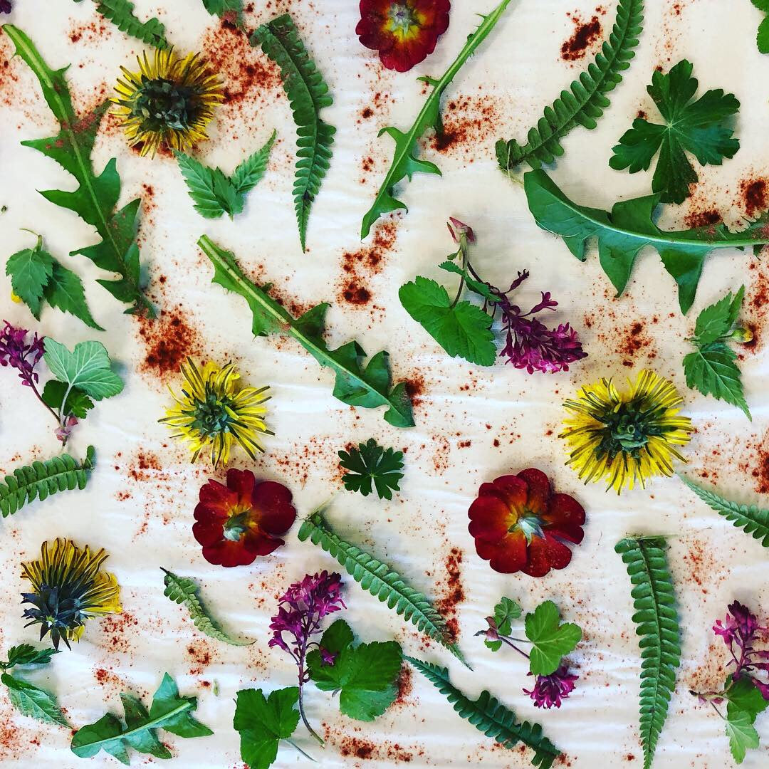 Botanical Dyeing on Paper