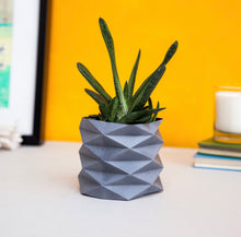 Load image into Gallery viewer, Origami Plant Wrapper

