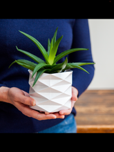Load image into Gallery viewer, Origami Plant Wrapper
